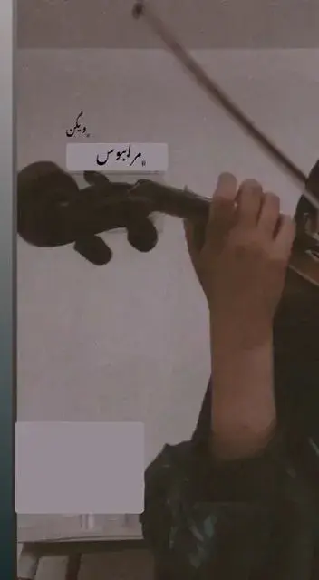 ویدیو معرفی هستی زند